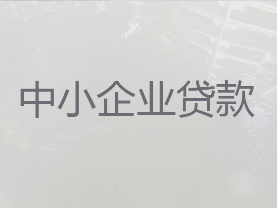 天门企业银行信用贷款